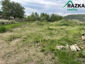 Prodej komerčního pozemku, Lestkov - Domaslav, 4866 m2