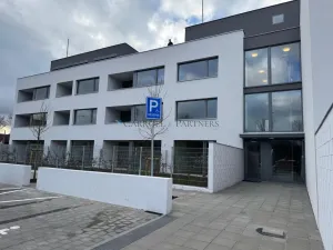 Pronájem bytu 1+kk, Ostrava - Slezská Ostrava, U Hájenky, 38 m2