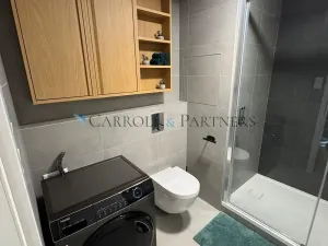 Pronájem bytu 1+kk, Ostrava - Slezská Ostrava, U Hájenky, 38 m2