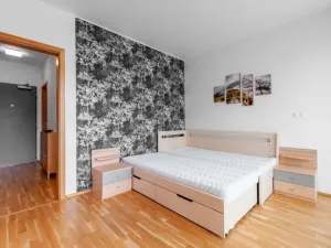 Pronájem bytu 2+kk, Praha - Vinohrady, Korunní, 76 m2
