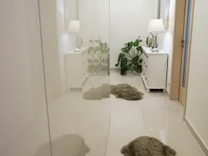 Prodej bytu 2+kk, Praha - Žižkov, Olšanská, 62 m2