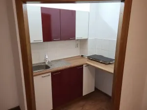 Pronájem bytu 2+kk, Ostrava - Slezská Ostrava, Bohumínská, 56 m2