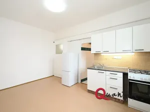 Pronájem bytu 1+1, Praha - Podolí, Výchozí, 38 m2