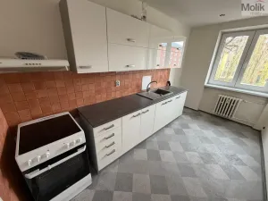 Prodej bytu 3+1, Chomutov, Na Příkopech, 76 m2