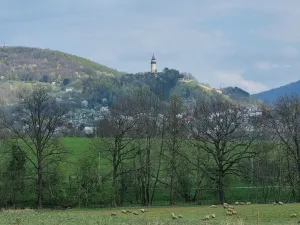 Pronájem pole, Štramberk, Novojičínská, 850 m2