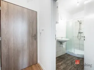 Prodej bytu 1+kk, Ostrava - Přívoz, Palackého, 26 m2