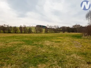 Prodej pozemku pro bydlení, Zdíkov, 18188 m2