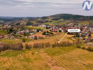 Prodej pozemku pro bydlení, Zdíkov, 18188 m2