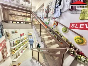 Prodej činžovního domu, Pozořice, Na Městečku, 3138 m2