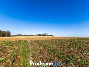 Prodej pozemku pro bydlení, Budišov, 1118 m2