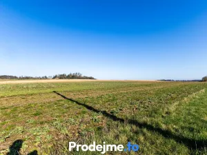 Prodej pozemku pro bydlení, Budišov, 568 m2