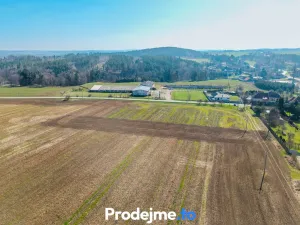 Prodej pozemku pro bydlení, Budišov, 1132 m2