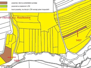 Prodej lesa, Pacov, 10995 m2