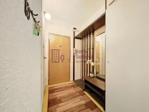 Pronájem bytu 1+1, Jindřichův Hradec - Jindřichův Hradec III, sídliště Vajgar, 40 m2