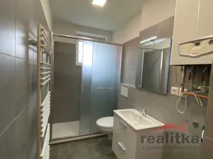 Pronájem bytu 2+kk, Opava - Předměstí, Těšínská, 35 m2