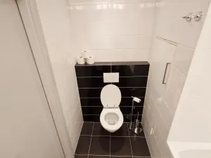 Pronájem bytu 2+kk, Most, M. J. Husa, 58 m2