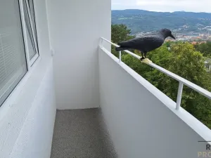 Pronájem bytu 1+kk, Ústí nad Labem, Malátova, 24 m2