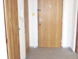 Pronájem bytu 1+1, Plzeň - Bolevec, Manětínská, 40 m2