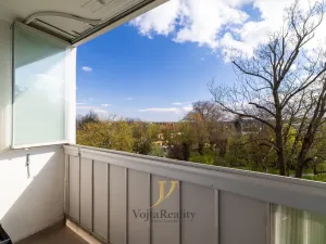 Prodej bytu 3+1, Olomouc - Nová Ulice, Pionýrská, 63 m2