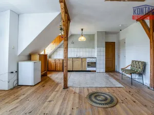 Prodej rodinného domu, Zavlekov - Mladice, 262 m2