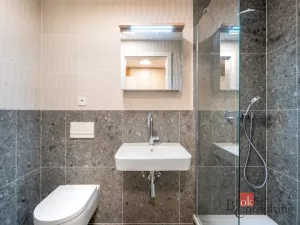 Pronájem bytu 1+kk, Brno - Zábrdovice, Bratislavská, 24 m2