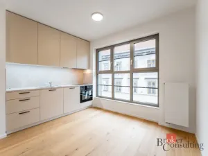 Pronájem bytu 1+kk, Brno - Zábrdovice, Bratislavská, 24 m2