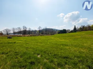 Prodej komerčního pozemku, Husinec, 19225 m2