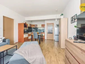 Prodej bytu 2+kk, Pardubice, Dubová, 44 m2