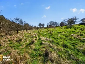 Prodej pozemku pro bydlení, Březnice, 1600 m2