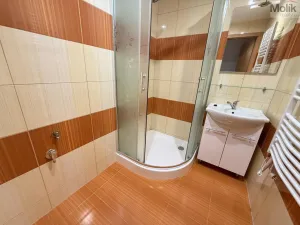 Pronájem bytu 2+1, Osek, Hrdlovská, 52 m2