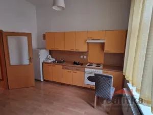 Pronájem bytu 1+kk, Opava - Předměstí, Olomoucká, 37 m2