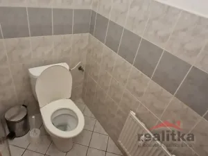 Pronájem bytu 1+kk, Opava - Předměstí, Olomoucká, 37 m2