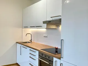 Pronájem bytu 1+kk, Praha - Holešovice, U průhonu, 38 m2