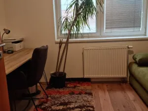 Pronájem bytu 3+kk, Hradec Králové - Nový Hradec Králové, Rybova, 68 m2