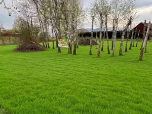 Prodej pozemku pro bydlení, Svojkov, 2100 m2