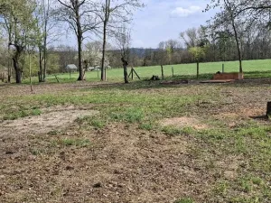 Prodej pozemku, Jenišovice, 871 m2