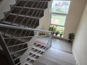 Pronájem bytu 4+1, Plzeň - Černice, K Lutové, 80 m2