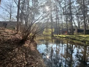 Prodej chaty, Tachov - Oldřichov, 41 m2