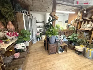 Pronájem obchodního prostoru, Zlín - Malenovice, Masarykova, 23 m2