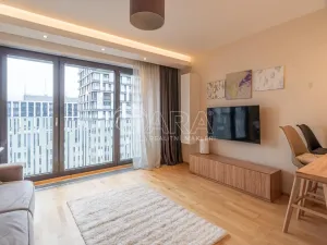 Pronájem bytu 1+kk, Praha - Žižkov, Olšanská, 37 m2