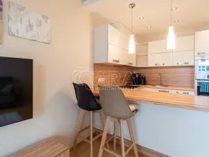 Pronájem bytu 1+kk, Praha - Žižkov, Olšanská, 37 m2