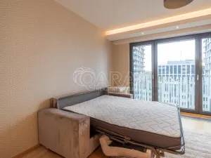 Pronájem bytu 1+kk, Praha - Žižkov, Olšanská, 37 m2