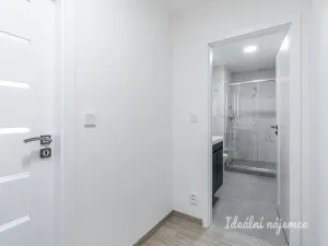 Pronájem bytu 2+kk, Praha - Nusle, Kotorská, 34 m2