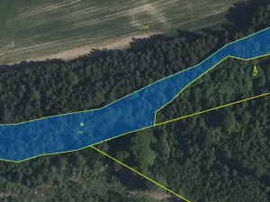 Prodej pozemku, Volfířov - Brandlín, 5958 m2