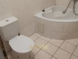 Pronájem bytu 1+1, Teplice, Masarykova třída, 45 m2