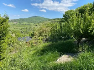 Prodej chaty, Malíč, Knobloška, 41 m2