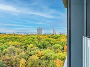 Pronájem bytu 1+kk, Praha - Žižkov, Olšanská, 35 m2