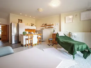 Prodej vícegeneračního domu, Brno, Otakara Ševčíka, 190 m2