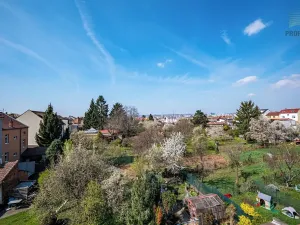 Prodej vícegeneračního domu, Brno, Otakara Ševčíka, 190 m2