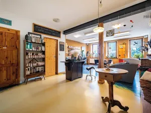 Prodej vícegeneračního domu, Brno, Otakara Ševčíka, 190 m2